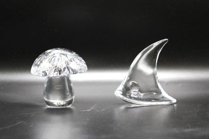 DAUM. Meeting of a mushroom and a fish head...