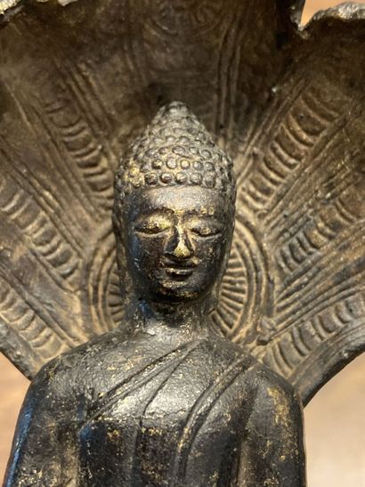 CHINE - ASIE 
Buddha in bronze. Height :...