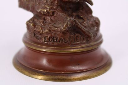 Édouard Paul DELABRIERRE (1829-1912). Oiseau...