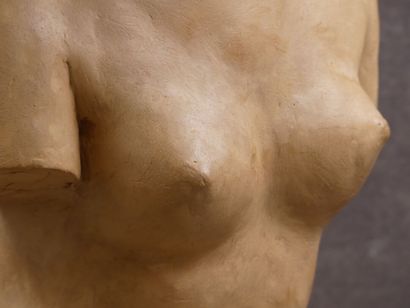 D'après l'Antique. 
Aphrodite by Praxiteles,...