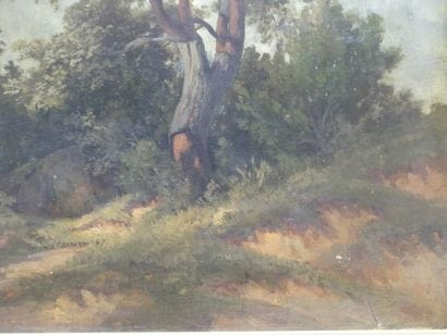Édouard Louis CAUVIN (1817-1900). Landscape...
