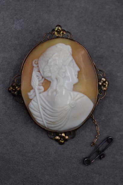 Meeting of two cameos mounted in brooches....