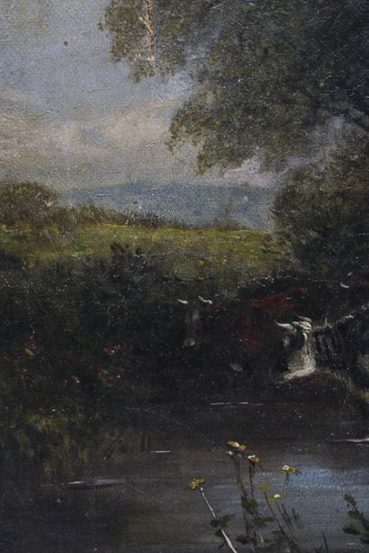 School of the XIXth century. Cows near a...