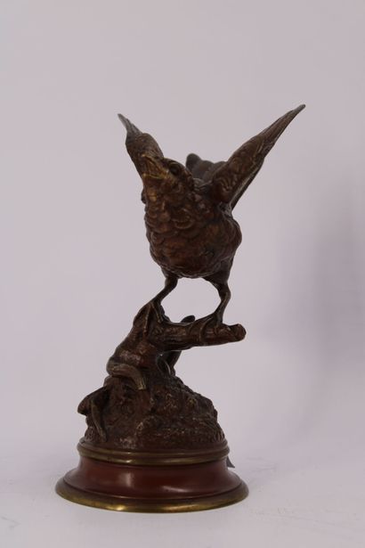 Édouard Paul DELABRIERRE (1829-1912). Oiseau...