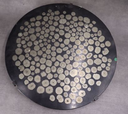 Ammonite ? Provenance by family tradition...