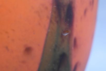Vase with long neck in orange glass paste...