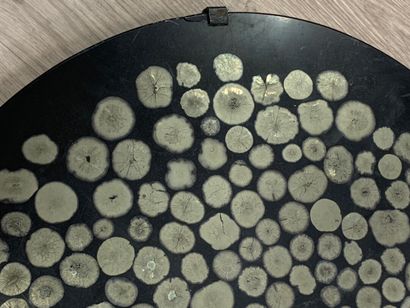 Ammonite ? Provenance by family tradition...