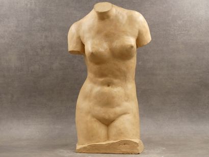 D'après l'Antique. 
Aphrodite by Praxiteles,...