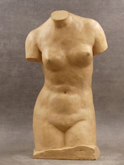 D'après l'Antique. 
Aphrodite by Praxiteles,...