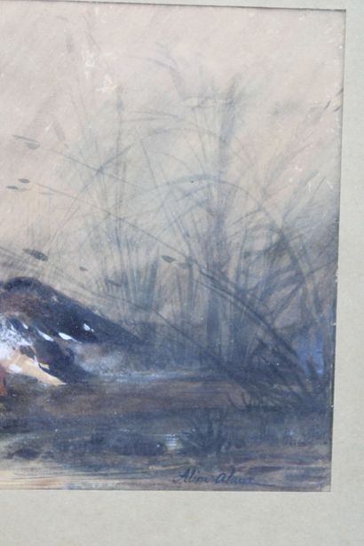 ALINE ALOT ( 1813/18566)
Volatiles. Mixed...