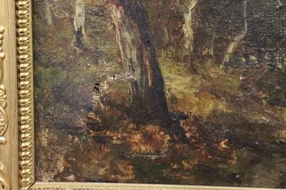 School of the XIXth century, Sous-bois, oil...