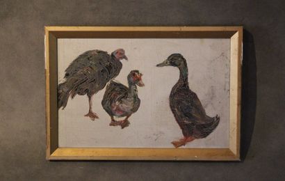 Louise GERMAIN (1874-1939)
Ducks and Peacock,...