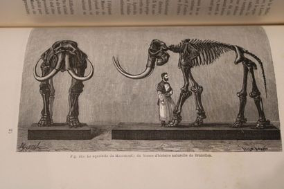 [NATURAL SCIENCES], FIGUIER (Louis). 
- The...