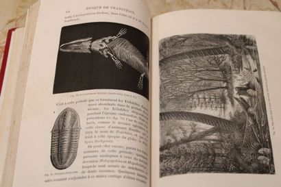 [NATURAL SCIENCES], FIGUIER (Louis). 
- The...