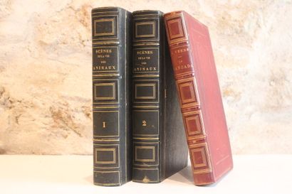 GRANDVILLE (J.-J.). SCÈNES DE LA VIE PRIVÉE...