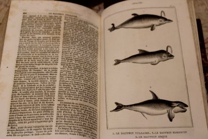 [SCIENCES], LACÉPÈDE (Comte de), OEUVRES...