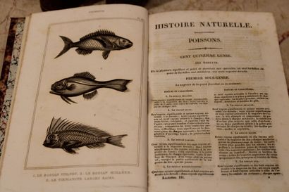 [SCIENCES], LACÉPÈDE (Comte de), OEUVRES...
