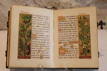 [RELIGIOSA-MISSEL], Book of Hours according...