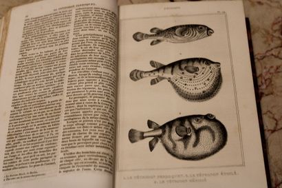 [SCIENCES], LACÉPÈDE (Comte de), OEUVRES...