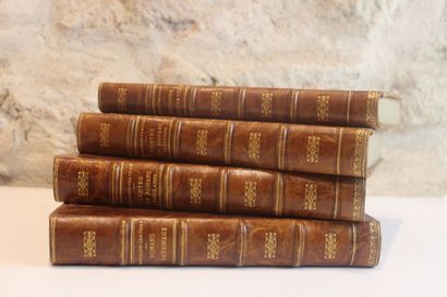 ERCKMANN-CHATRIAN , Les Romans Nationaux,...