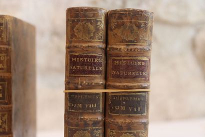 [Manette], BUFFON, Réunion de 20 Tomes dépareillés,...