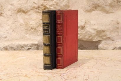 [NATURAL SCIENCES], FIGUIER (Louis). 
- The...