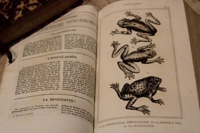 [SCIENCES], LACÉPÈDE (Comte de), OEUVRES...