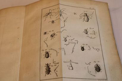 GEOFFROY, Histoire abrégé des Insectes, dans...