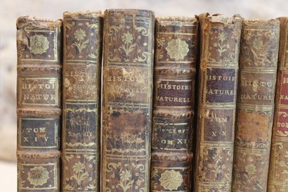 [Manette], BUFFON, Réunion de 20 Tomes dépareillés,...