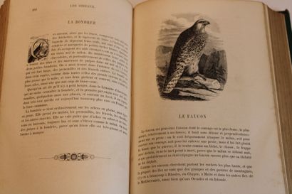 DUBOIS Auguste, LE BUFFON des FAMILLES, Histoire...