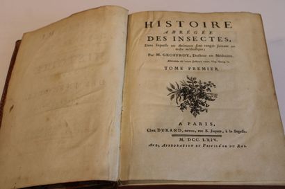 GEOFFROY, Histoire abrégé des Insectes, dans...