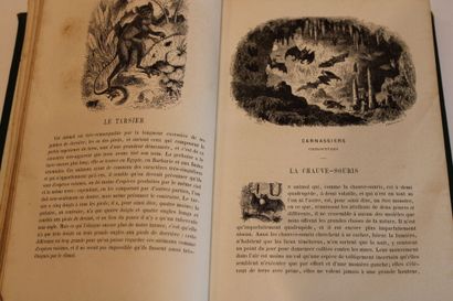 DUBOIS Auguste, LE BUFFON des FAMILLES, Histoire...