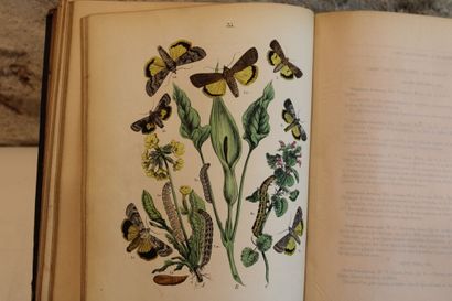[LEPIDOPTEROLOGIE], SAND (Maurice). The World...