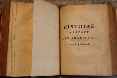 GEOFFROY, Histoire abrégé des Insectes, dans...