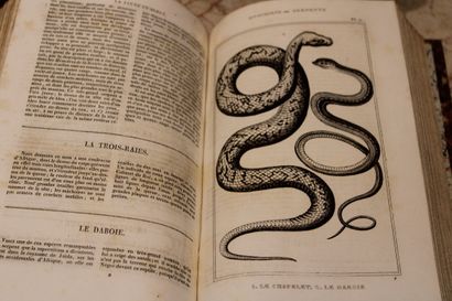 [SCIENCES], LACÉPÈDE (Comte de), OEUVRES...