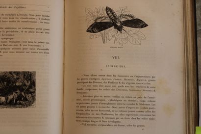 [LEPIDOPTEROLOGIE], SAND (Maurice). The World...