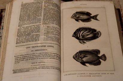 [SCIENCES], LACÉPÈDE (Comte de), OEUVRES...
