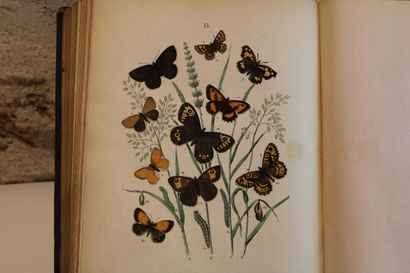 [LEPIDOPTEROLOGIE], SAND (Maurice). The World...