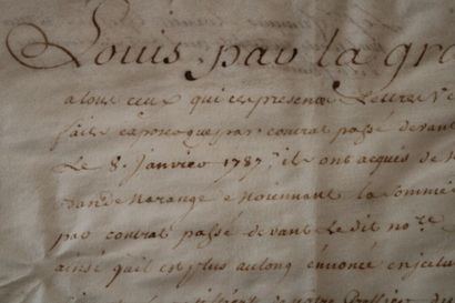 [BOURGOGNE] [MARANGE]- Pièce manuscrite in-folio...