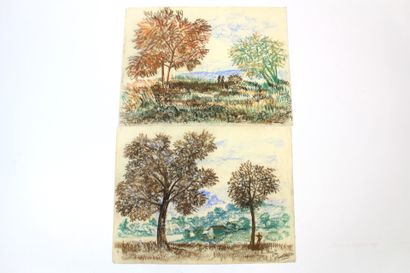 Jean BURKHALTER (1895-1982) , Etudes d'arbres,...