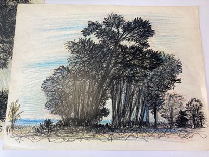 Jean BURKHALTER (1895-1982), Etudes d'arbres,...