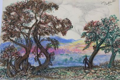 Jean BURKHALTER (1895-1982) , Etudes d'arbres,...