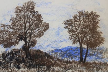 Jean BURKHALTER (1895-1982) , Etudes d'arbres,...