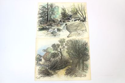 Jean BURKHALTER (1895-1982) , Etudes d'arbres,...