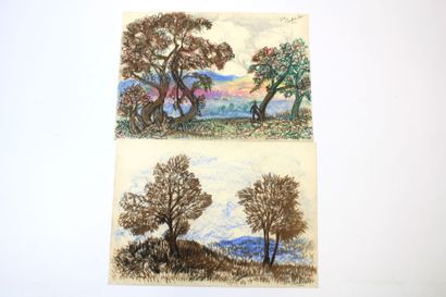 Jean BURKHALTER (1895-1982) , Etudes d'arbres,...