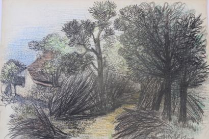 Jean BURKHALTER (1895-1982) , Etudes d'arbres,...