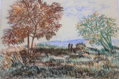Jean BURKHALTER (1895-1982) , Etudes d'arbres,...