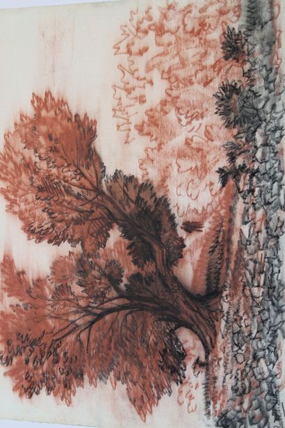 Jean BURKHALTER (1895-1982) , Etudes d'arbres,...