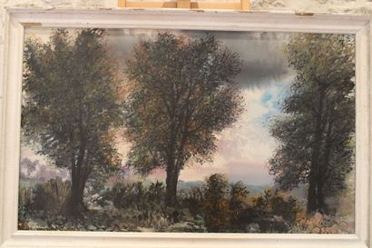 Jean BURKHALTER (1895-1982) , Paysage, Large...