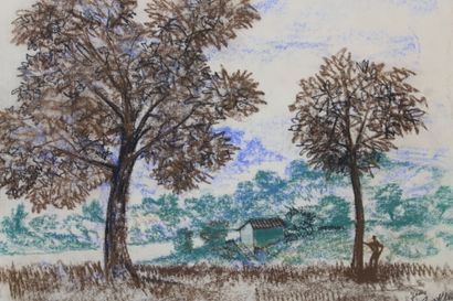 Jean BURKHALTER (1895-1982) , Etudes d'arbres,...